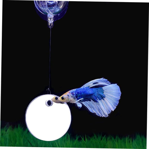 1 Set Acrylic Betta Training Mirror, Double Sided Round Mirror for Fish Aquarium Decoration and Training