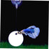 1 Set Acrylic Betta Training Mirror, Double Sided Round Mirror for Fish Aquarium Decoration and Training