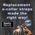 Sparky Pet Co - Apollo ECollar Replacement Strap - Waterproof Biothane Dog Collar - Adjustable, 3/4" x 28" (Teal)