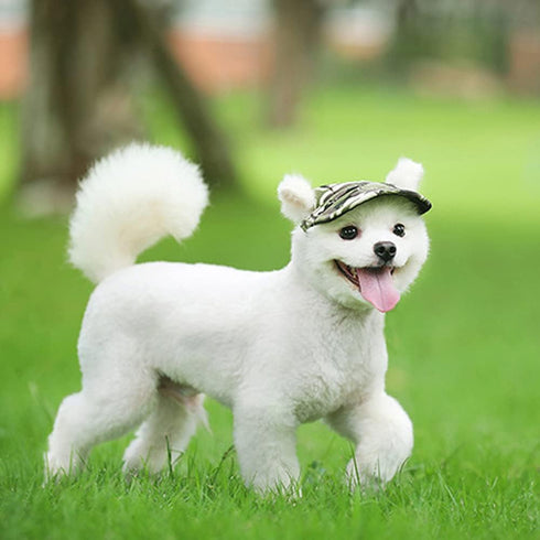 Leconpet Baseball Caps with Neck Strap - Adjustable Comfortable Ear Holes for Small Medium Large Dogs (M, Camouflage)