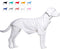 Lovelonglong Dog Pullover Sweatshirt, Autumn Winter T-Shirts for Small Medium Large Dogs, Off-White L