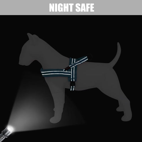 Didog Soft Flannel Padded Dog Vest Harness, No Pull Reflective Strap Harness, Easy for Training Walking (M)
