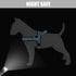 Didog Soft Flannel Padded Dog Vest Harness, No Pull Reflective Strap Harness, Easy for Training Walking (M)
