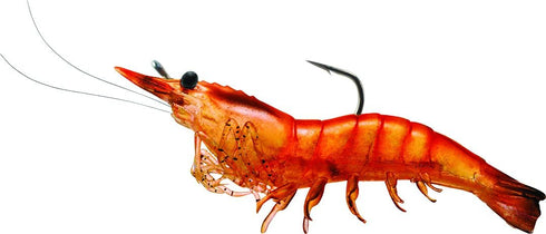 LIVE TARGET Livetarget Rigged Shrimp