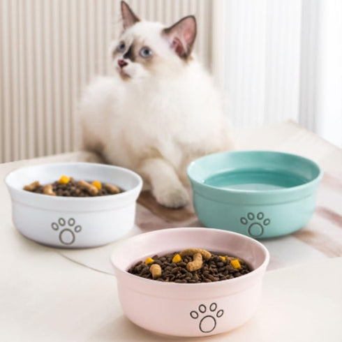 Ceramic Dog Bowls for Cats and Small Dogs, Pet Feeding Bowls 20 oz (6", Blue/Pink/White)