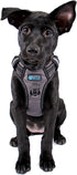 Max and Neo Gunnison Reflective Dog Harness, Small, Gray - We Donate a Harness to a Dog Rescue for Every Sold