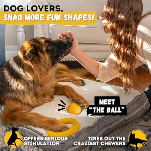 Indestructible Ring Dog Toy - Lifetime Replacement for Medium & Large Breeds, Durable for Aggressive Chewers