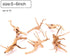 10pcs Natural Small Spiderwood Driftwood for Aquarium Decor, Freshwater Reptile Driftwood, 5-6inch