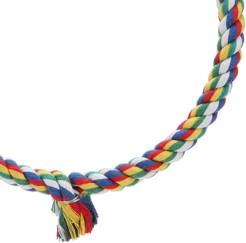 Bird Rope Swing - Colorful Perch Climbing Toy for Parrots, Budgie, Cockatiel, Cockatoo, Conure (M, 10.4 inch)