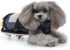 Dog Drag Bag, Wheelchair Alternative for Paralyzed Dogs with Wooden Scooter for Indoor and Outdoor Use (Yellow, S)