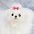 Tongcloud 80 pcs Dog Hair Bows - Butterfly Knotted Bows with Rubber Bands for Puppy Dog Cats Hair Accessories