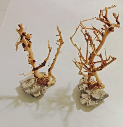 YZHZOM 2pcs Tree,4-6inch,Handmade Small Bonsai Aquarium Aquarium Bonsai Tree Aquarium Decor Tree