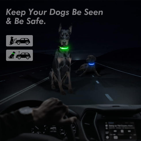 BSEEN Reflective LED Dog Collar - Light Up Dog Collars for Safe Walking at Night - Rechargeable for Dogs, Neon Green,