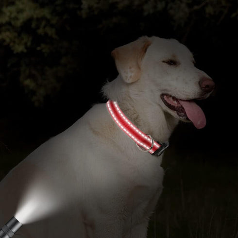 Taglory Adjustable Reflective Dog Collars for Small Medium Large Dogs, Quick Release Plastic Buckle (Red, Small)