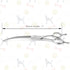 Dog Cat Scissors for Grooming, Stainless Steel Shears for Thick Coats and Matted Hair (7.0" Curved Silver)