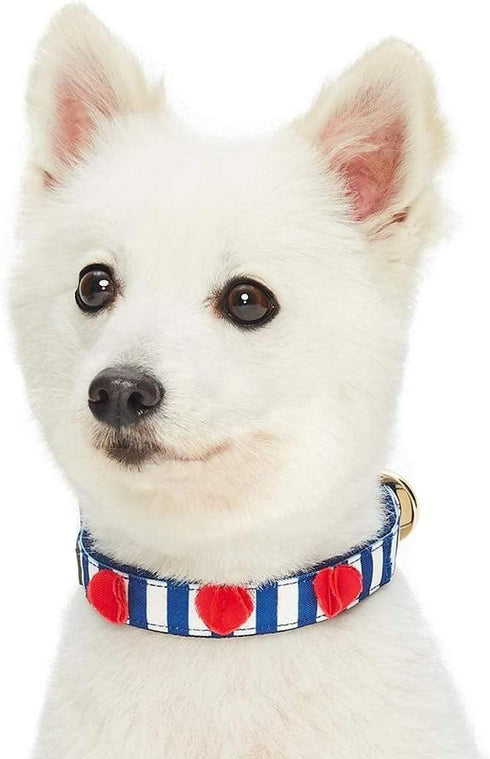 Blueberry Pet 4 Patterns Bon Voyage Sea Lover Adjustable Dog Collar in Chunky Nautical Blue Stripes, Neck 9-12.5" for