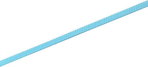 Nylon Dog Leash 4 Ft 5 Feet 6 Foot Long, 1 Inch Wide, Blue, Walking Training Leashes for Medium Large Dogs (6ft)