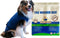 Disposable Dog Diapers Keeper for Male and Female Dogs Wrap Around Legs for Superior Fit by SurgiSnuggly