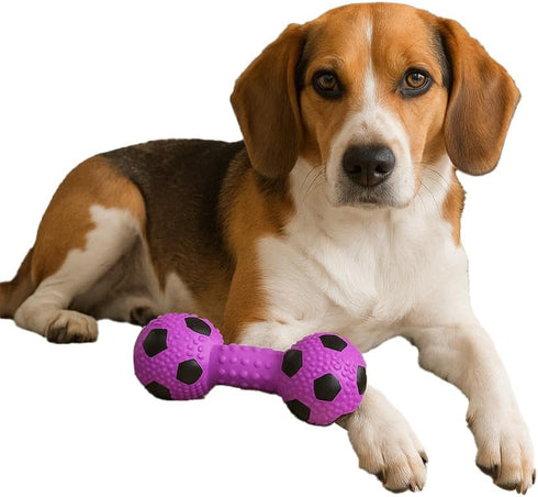 SPOT Stuffed Latex Soccer Ball Dumbbell Dog Toy, 6in Durable Chew Toy for Small & Medium Dogs