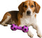 SPOT Stuffed Latex Soccer Ball Dumbbell Dog Toy, 6in Durable Chew Toy for Small & Medium Dogs
