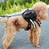 Dog Backpack Harness with Leash | Adjustable Dog Pack with Reflective Strips for Night Safe Outdoor Travel | Small