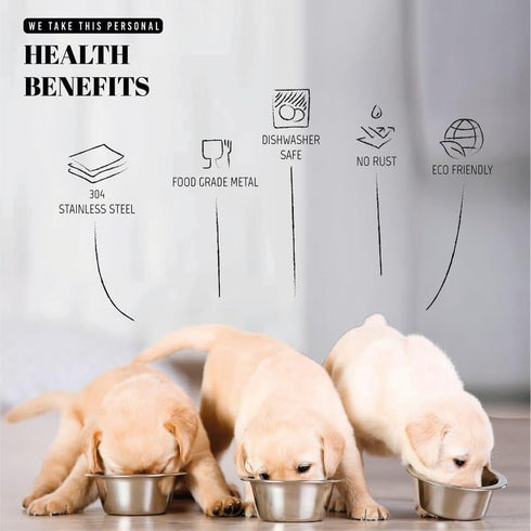 25oz Stainless Steel Dog Bowls Set, 2 Pack, 3.1 Cups Metal Bowls, 1.89 inch Deep, Dog Water Bowl for Raised Feeder