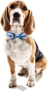Unique Style Paws Plaid Dog Collar with Bow - Adjustable Soft and Comfy Bowtie Collars for Small Medium Large Dogs