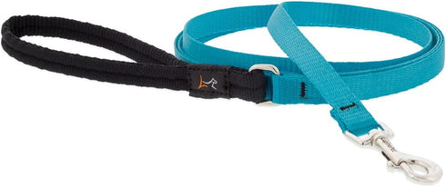 Lupine Padded Handle Leash for Small Pets, 1/2" Wide Aqua, 4-foot Long