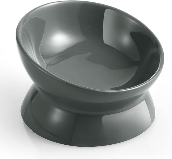 Elevated Cat Food Bowl, 5 Oz Ceramic Raised and Tilted Water Bowl, Anti-Vomiting Dishes for Small Dogs, Kittens