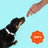 Avas Pet Palace Snappin Salmon Air-Dried Wild-Caught Salmon Jerky Dog Treats | Sustainable, High-Protein
