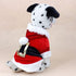 Idepet Santa Dog Costume, Winter Hoodie Coat for Chihuahua, Yorkshire, Poodle (XS)