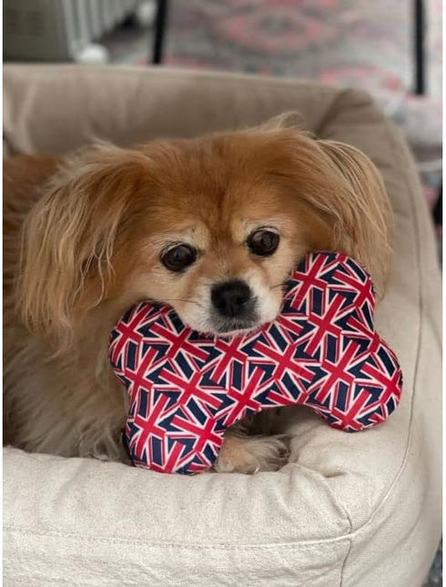 Pet London Union Jack British Flag Squeaker Bone Dog Toy, Full Size Squeaky Insert, UK Design