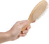 Puppy Grooming Hair Brush for Pet Care