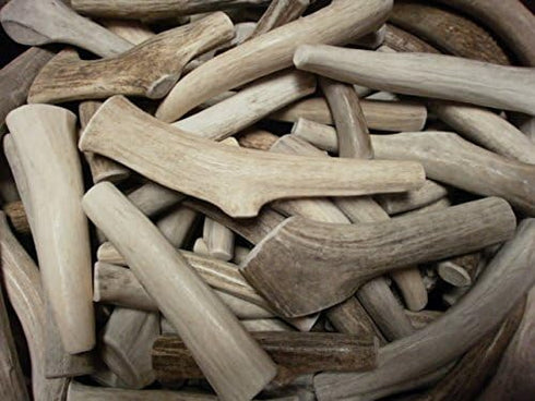 CZ Grain Medium Grade A Deer Antlers for Dogs, Naturally Shed Organic Deer Antler Chews, Size Medium Bundle