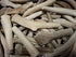 CZ Grain Medium Grade A Deer Antlers for Dogs, Naturally Shed Organic Deer Antler Chews, Size Medium Bundle