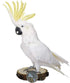 Hamiledyi Perch Platform for Bird Cage, Natural Round Wooden Stand Toy for Canary Parakeet Cockatiel (3 Pcs)