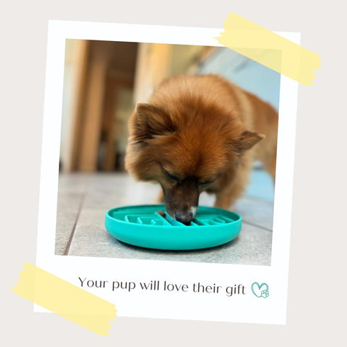 Cactus Slow Feeder Dog Bowls - Silicone Non-Slip Puzzle Bowl for Large Medium Small Breeds