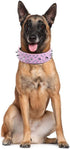 Stylish Rhinestones Dog Collar with Bullet Rivets, Soft and Adjustable Leather for Medium and Large Dogs, Black,
