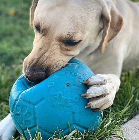 Jolly Pets Large Soccer Ball - Floating-Bouncing Dog Toy, 8 Inch Diameter, Ocean Blue