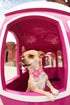 Lionheart Glory Dog Collar, Pink Floral Pattern Adjustable Collar for Medium Dogs