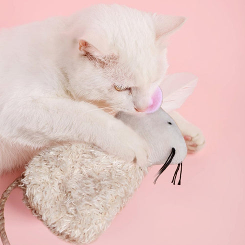 3pcs SEWACC Cat Toys Interactive Kitten Plush Toy for Exercise and Play