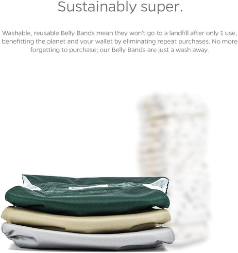 Pet Parents Premium Washable Belly Bands, 3 Pack Male Dog Diapers & Belly Bands, Extra Small Spruce Color