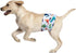MICOOYO 3 Pack Belly Bands for Male Dogs, Reusable Washable Dog Diapers, XSmall (S, Car) for Puppy Doggie