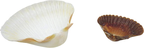 3.75 2.25 Inches (Pack 2) Needzo Hermit Crab Food and Water Shell Dishes, Habitat Tank Supplies for Pets, x