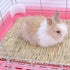 Set, Chinchilla, Conejo(22Pieces) Bunny Hamsters Chew Toys Straw Woven Bed Mat& Rabbit Pet Tooth Organic Natural Apple