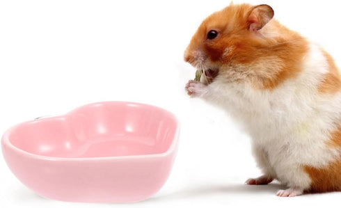 ULTECHNOVO Hamster Ceramic Food Bowl, 3pcs Cute Shape Food Dish for Hamster, Rat, Mice, and Small Animals