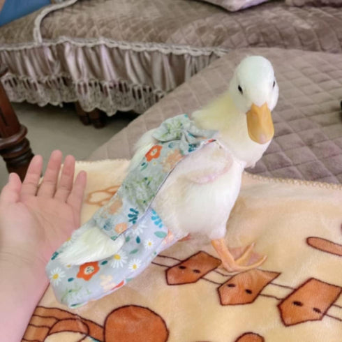 RRRIOT (2kg-2.75kg) Duck & Goose Diapers - Waterproof, Adjustable, Washable & Reusable Poultry Supplies