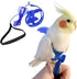 Birds Adjustable Harness and Leash, Parrot Outdoor Flying Training Traction Rope Straps