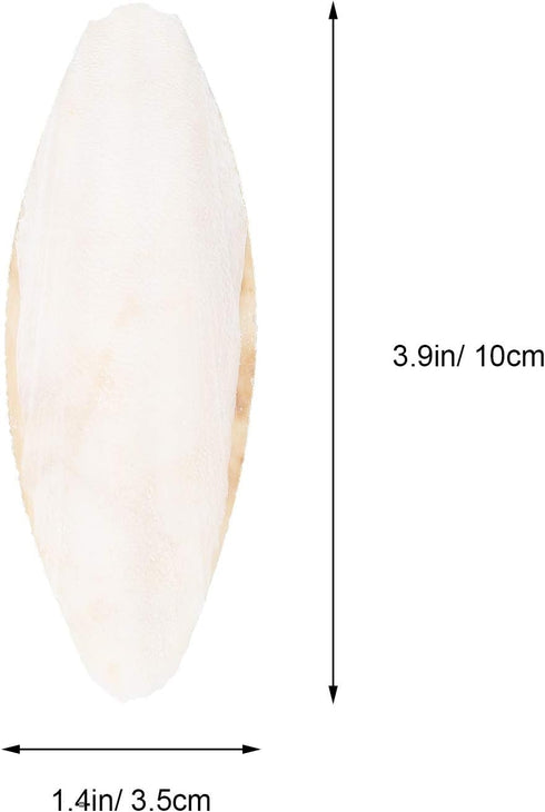 12pcs Bird Cuttlebone Chew Toy, Cuttlefish Bones for Parrot Cage Toys, 10cm Bird Bite Toy