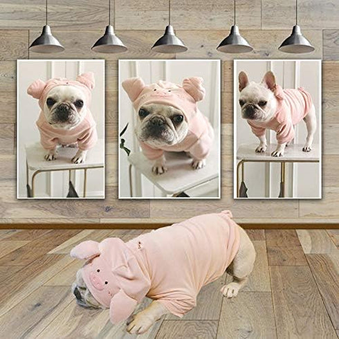 Dog Sweater - Pet Pig Pattern Sweatshirt for Small Dogs Cats, Puppy Hoodie Jacket for Spring, Winter & Autumn